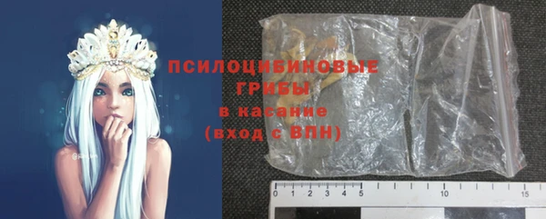 индика Баксан
