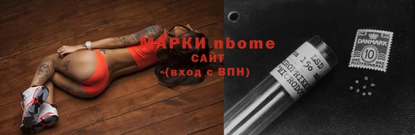 индика Баксан
