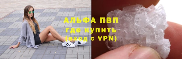 индика Баксан