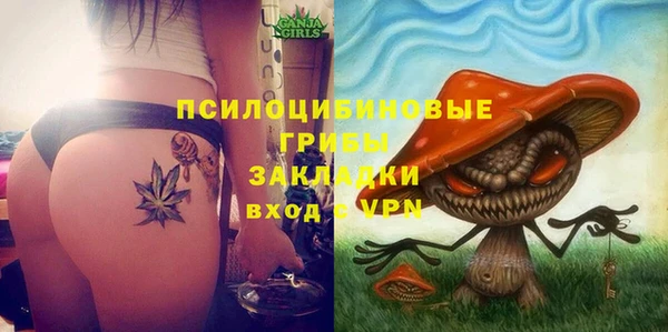 гидра Балахна