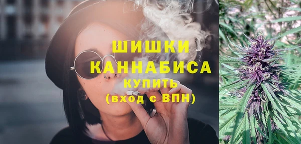 индика Баксан