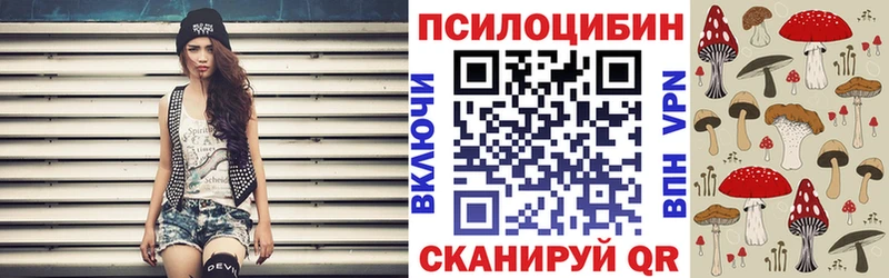 Псилоцибиновые грибы мицелий Усть-Джегута